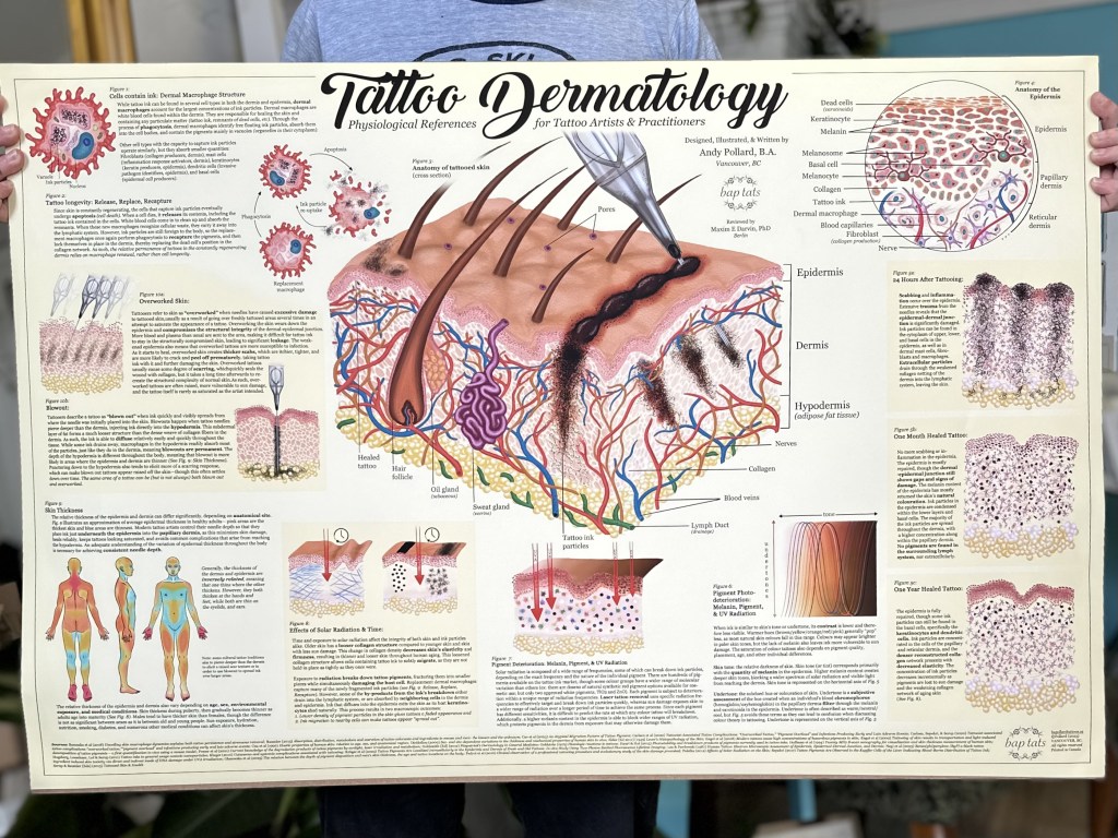 Tattoo Dermatology: Physiological References for Tattoo Artists and&nbsp;Practitioners